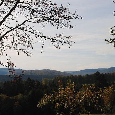 Landgasthof Gruss Brilon Bagian luar foto