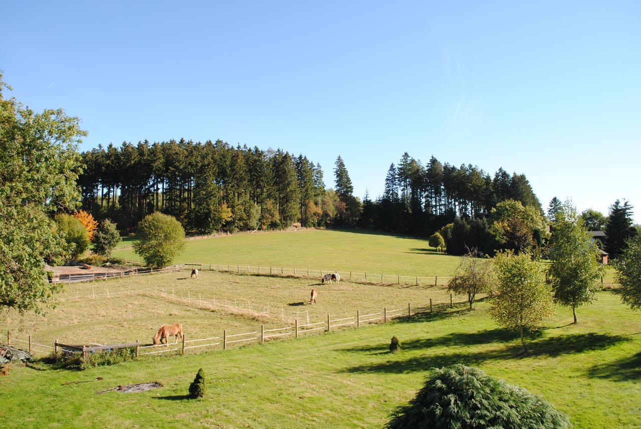 Landgasthof Gruss Brilon Bagian luar foto