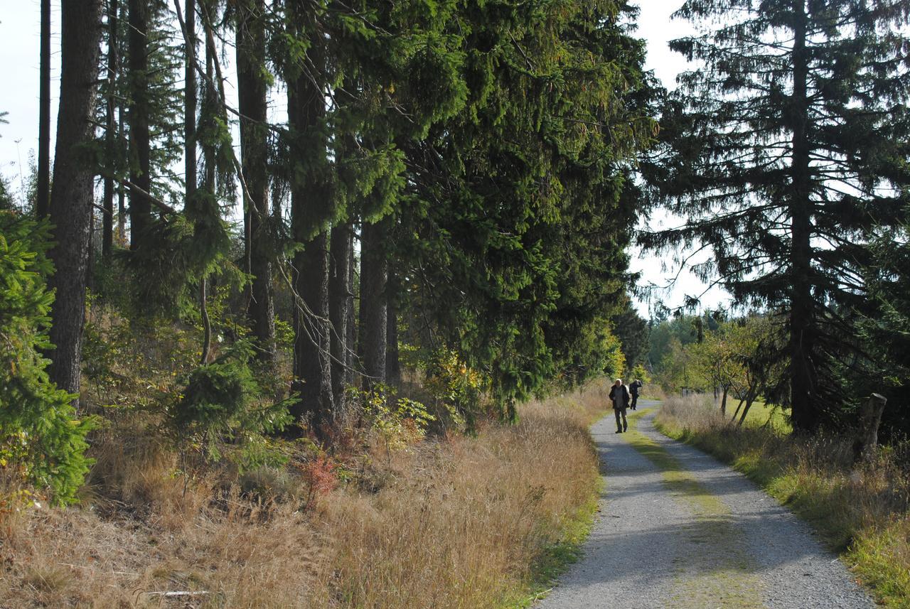 Landgasthof Gruss Brilon Bagian luar foto