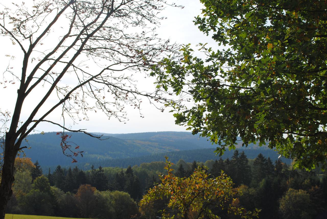 Landgasthof Gruss Brilon Bagian luar foto