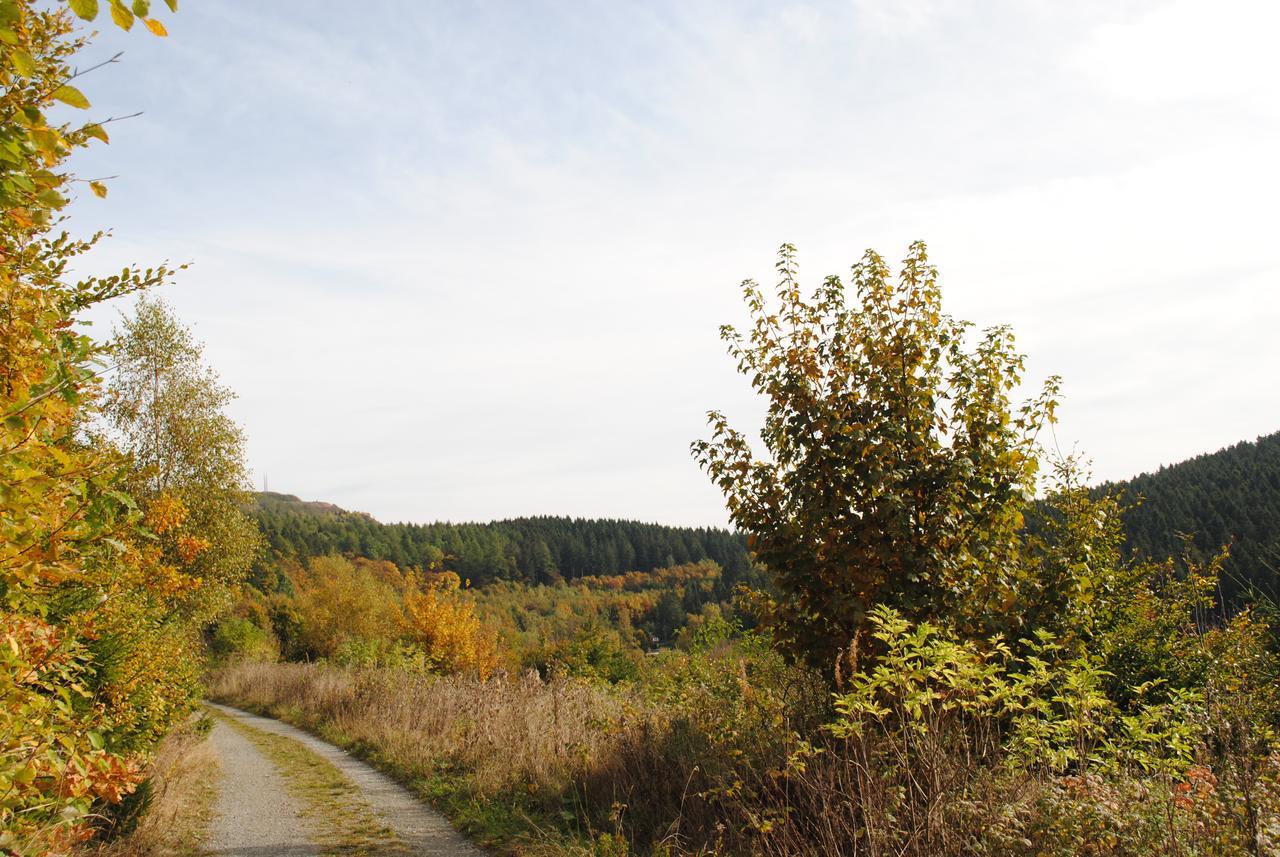 Landgasthof Gruss Brilon Bagian luar foto