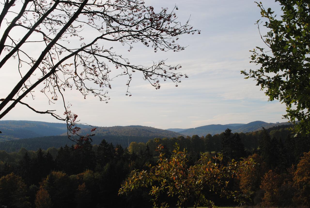 Landgasthof Gruss Brilon Bagian luar foto