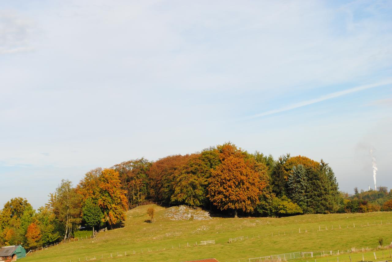 Landgasthof Gruss Brilon Bagian luar foto